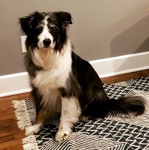 Meet your Posher, Kelly